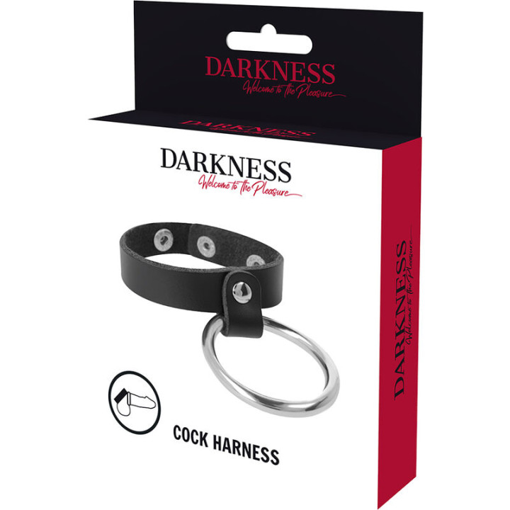 Darkness - Anel de Metal Para Pênis e Testículos