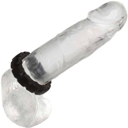 Calexotics - Alpha Anel de Pista Prolong Preto