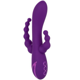 Calexotics - Long Beach Bootylicious Roxo