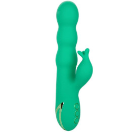 Calexotics - Sonoma Soddisfatto Verde