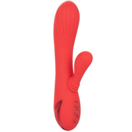 Calexotics - Palisades Passion Rot