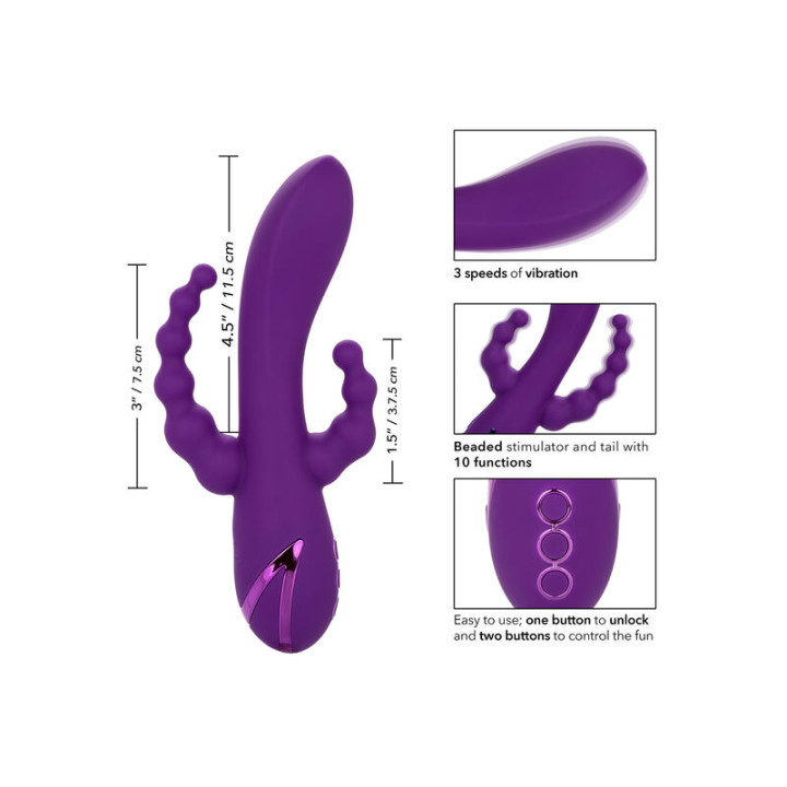 Calexotics - Long Beach Bootylicious Roxo