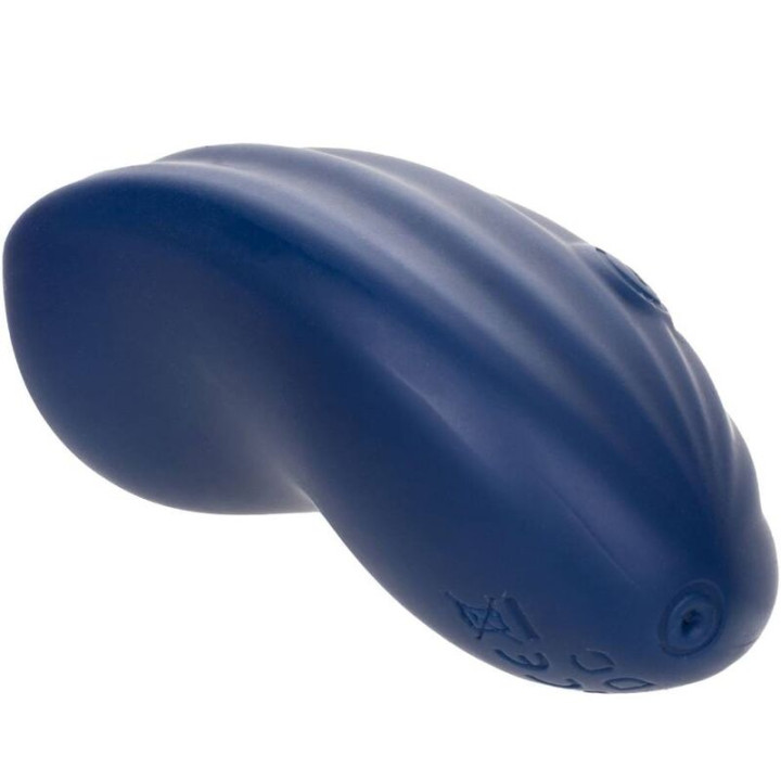 Calexotics - Cashmere Curva Velluto Blu