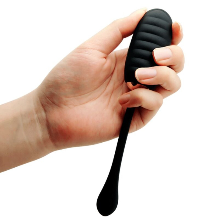 Pretty Love - Doreen Luxury Rechargeable Vibrating Egg Black Remote Control