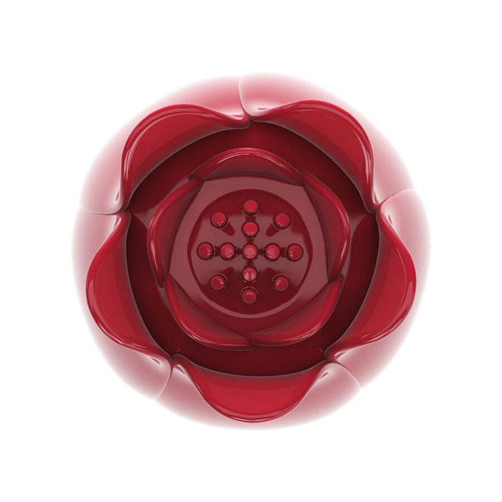 Pretty Love - Secret Garden Pink Massage Head