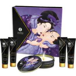 Shunga - Frutas Exóticas da Gueixa Secreta