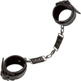 Calexotics - Euphoria Polsini Alla Caviglia