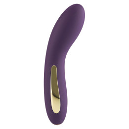 Toyjoy - Vibrador Roxo Luz Luminada
