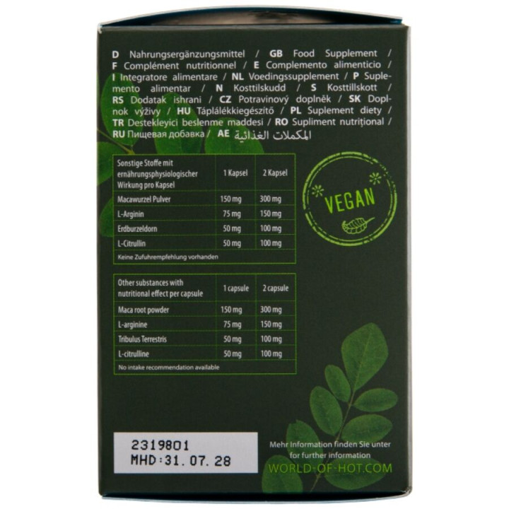 Hot - Moringa Men Caps Uomo 60 Unità