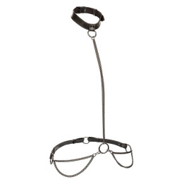 Calexotics - Euphoria Collier Licol et Laisse Grande Taille