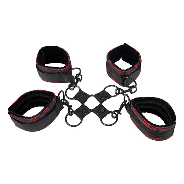Calexotics - Scandal Algemas Hog Tie