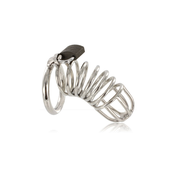 Metal Hard - Cage Ring Chastity Device