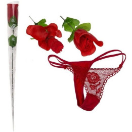 Diablo Picante ? Rose, Wandelbar in Tanga