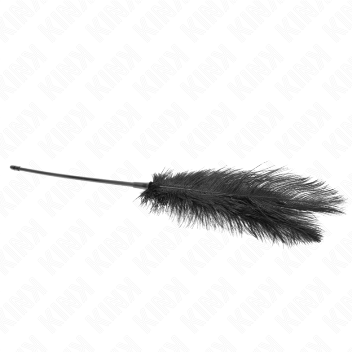 Kink - Piume di Struzzo Per Solletico 19 cm