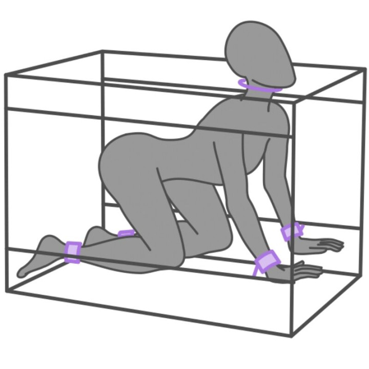Secret Dome - Kink Club la Niche Cabine Roxa