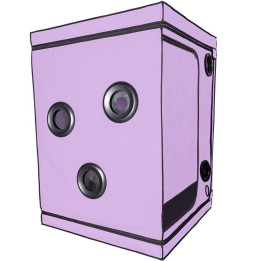 Secret Dome - Escândalo Roxo do Clube Kink
