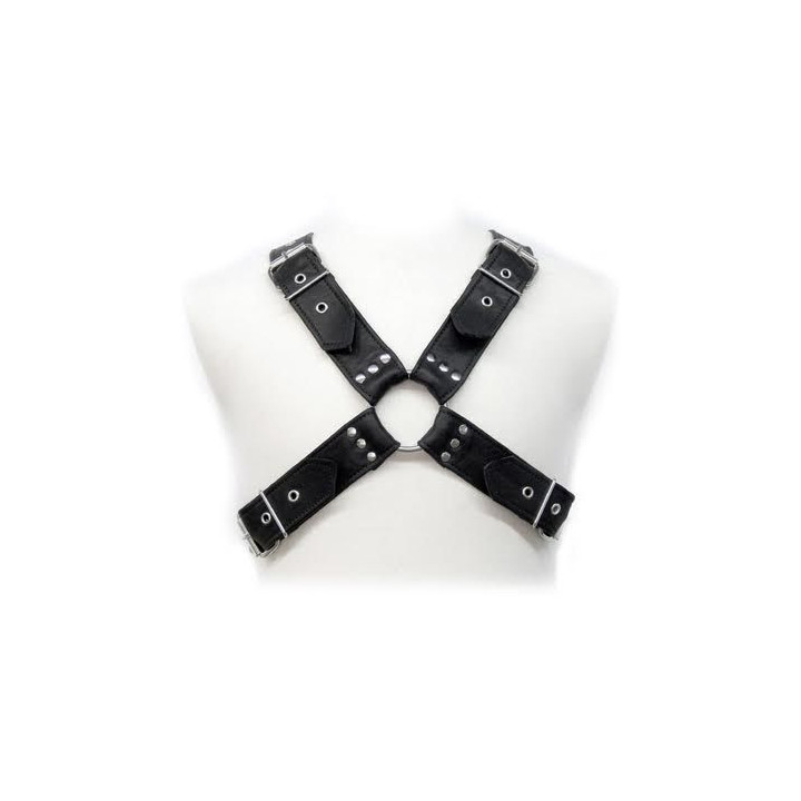 Leather Body - Buckles Harness