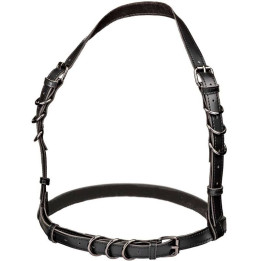 Calexotics - Euphoria Plus Size Halter Buckle Harness Black