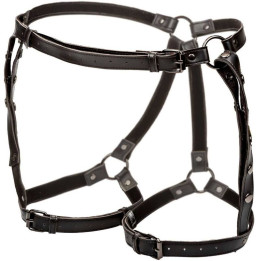 Calexotics - Euphoria Plus Size Riding Thigh Harness