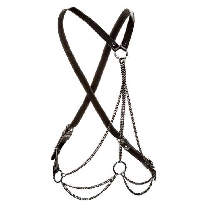 Calexotics - Euphoria Arnés de Múltiples Cadenas Premium