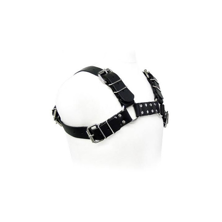 Leather Body - Arnês Para Ces Black Bull