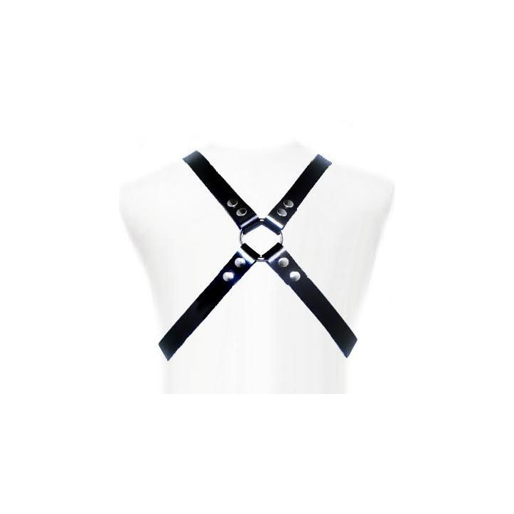 Leather Body - Basic Harness