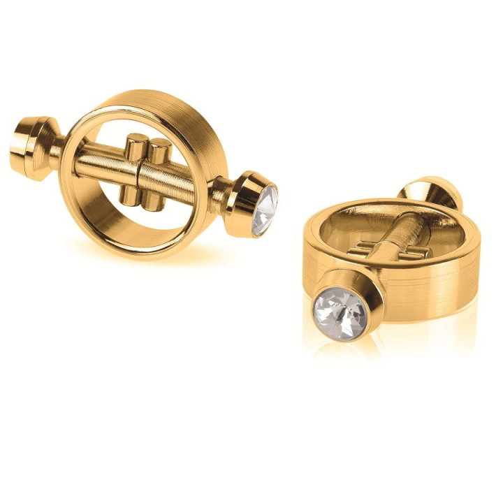 Fetish Fantasy Gold - Pinces Magnétiques