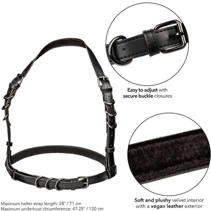 Calexotics - Euphoria Plus Size Szelka z Kalterem Czarna