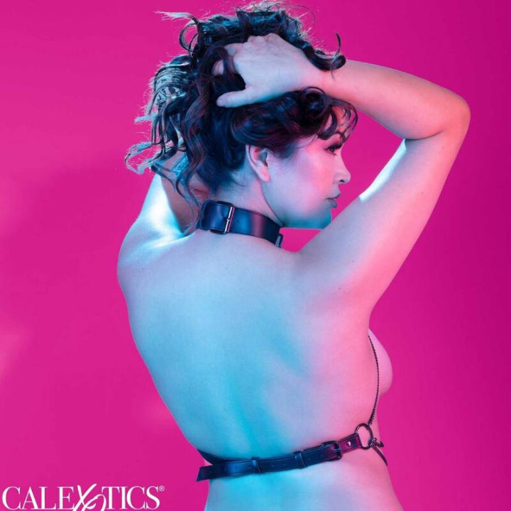 Calexotics - Euphoria Plus Grösse Mehrkettenhalsbandgeschirr