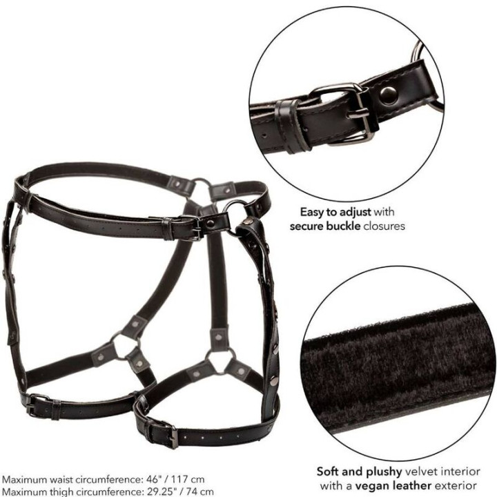 Calexotics - Euphoria Pettorina da Equitazione Plus Taglia