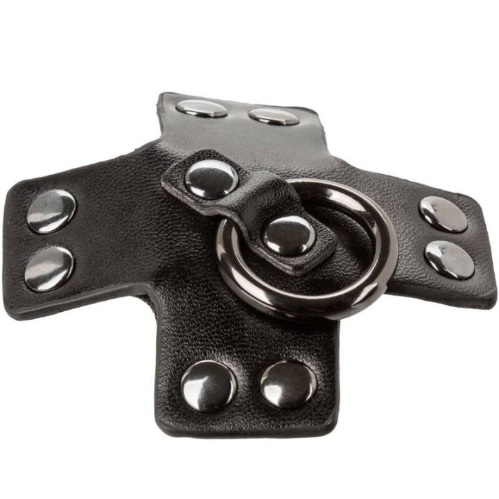 Calexotics - Euphoria o-Ring Black
