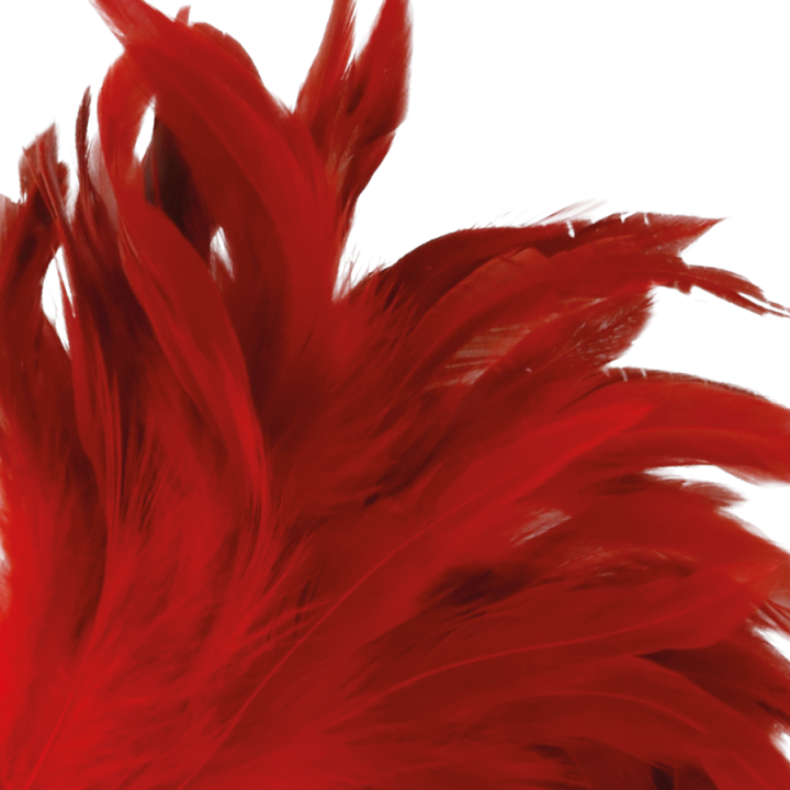 Darkness - Stylo Stimulant Rouge 24cm