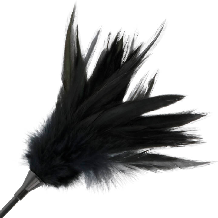 Darkness - Fouet à Plumes Noires