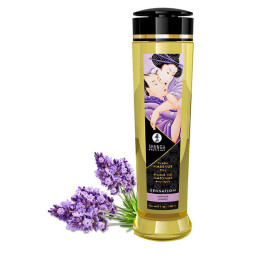 Shunga - Sensation Olejek do Masazu Erotycznego 240 ml