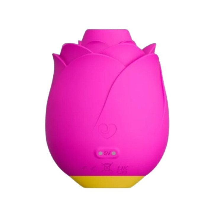 Romp - Rose 2.0 Outil de Succion Clitoridienne en Forme de Rose