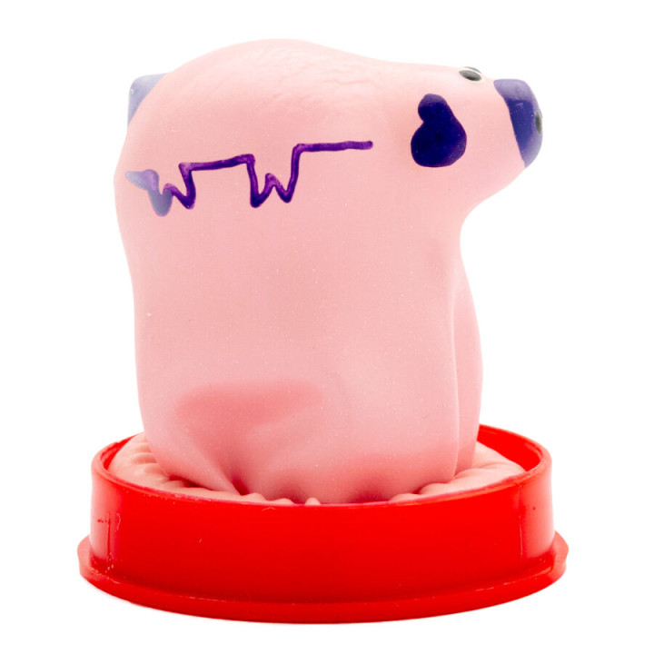 Condomerie - Handbemalte Neuheitskondome Kleines Schwein