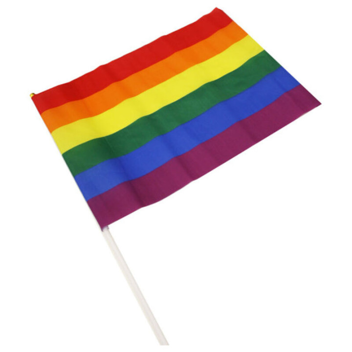 Pride - Duzy Proporcz z Flagi Lgbt