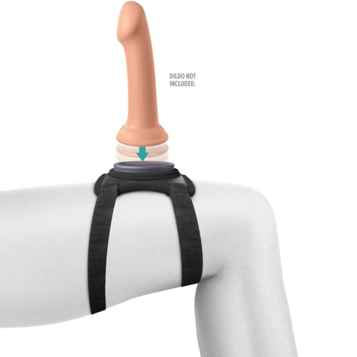 Pipedreams - Body Dock Lap Strap-Gurt