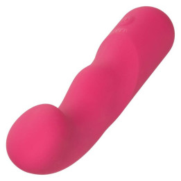 Calexotics - Pixies Curvy Rose