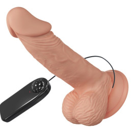 Baile - Beautiful Encounter Zebulon Vibration 19.4 cm Natural