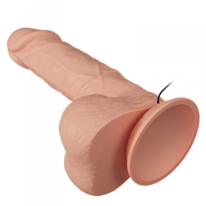 Baile - Beautiful Encounter Bahamut Vibration 21.8 cm Natural